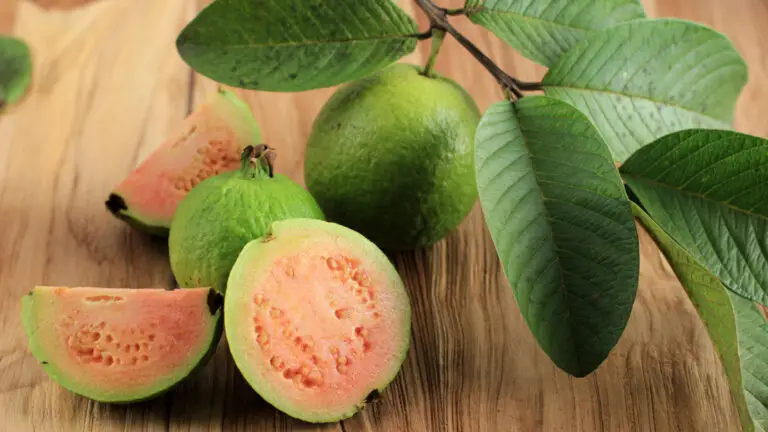 guayaba